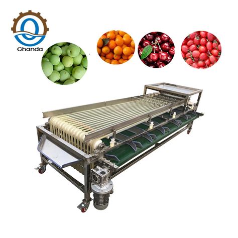 Cherry grading machine .